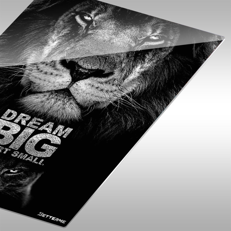 BIG DREAM