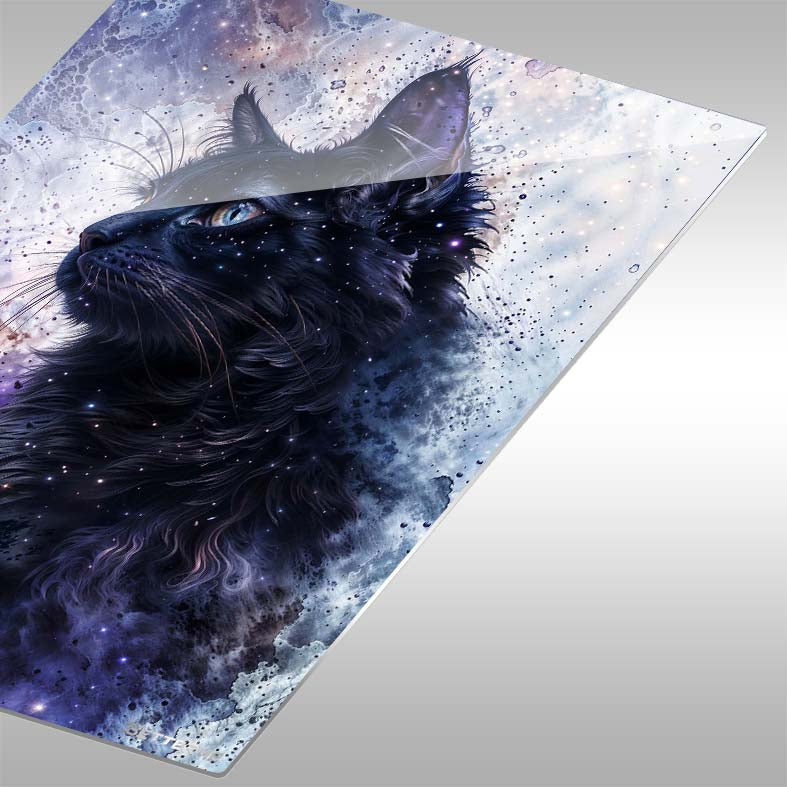 Cosmic Space Black Cat