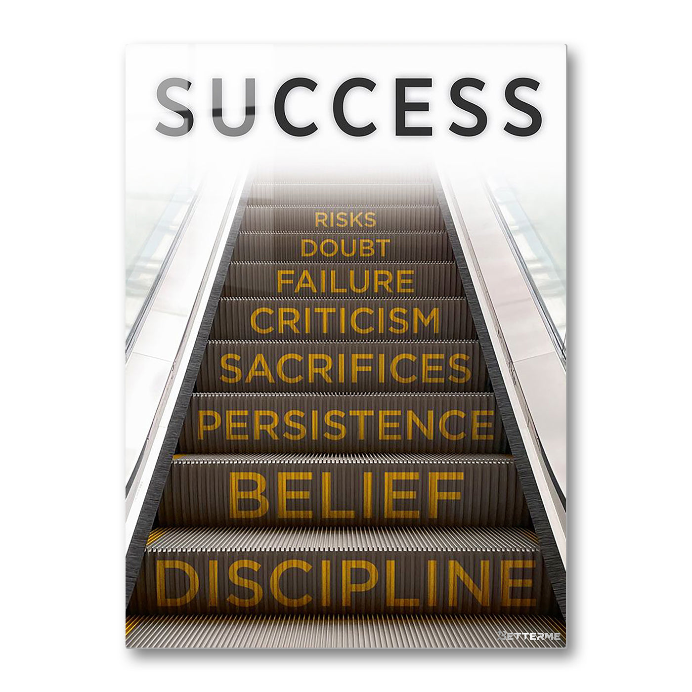 The Ladder to Success