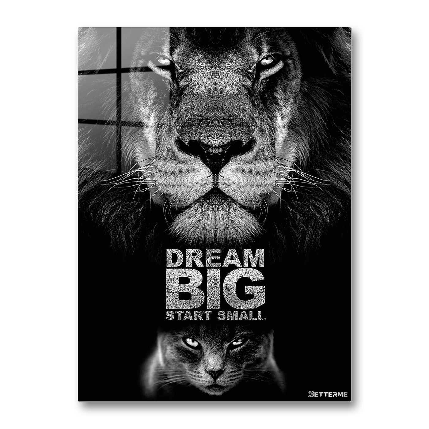 BIG DREAM