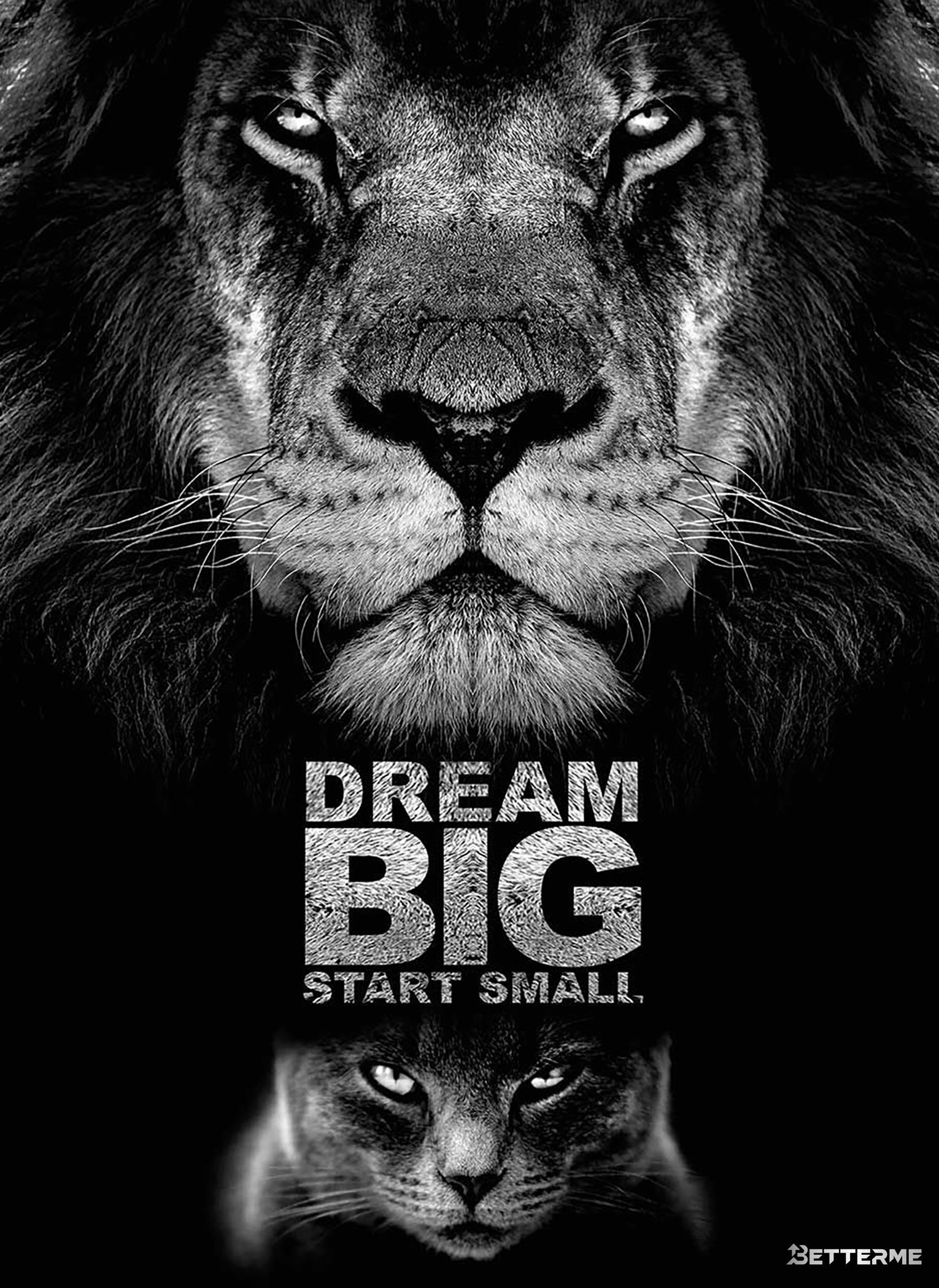 BIG DREAM