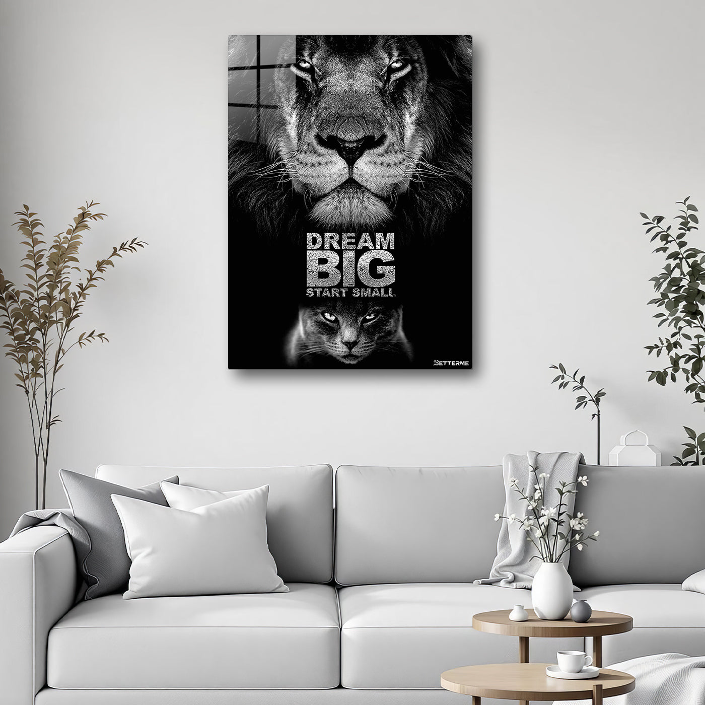 BIG DREAM