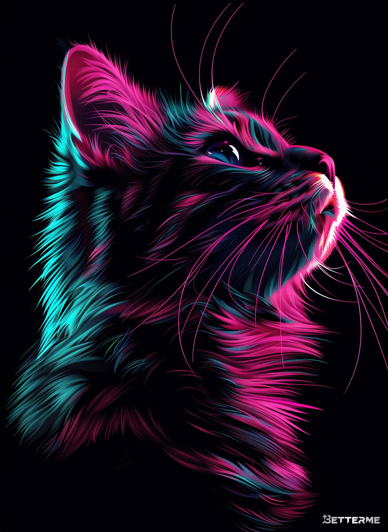 BO0001 Cat Neon