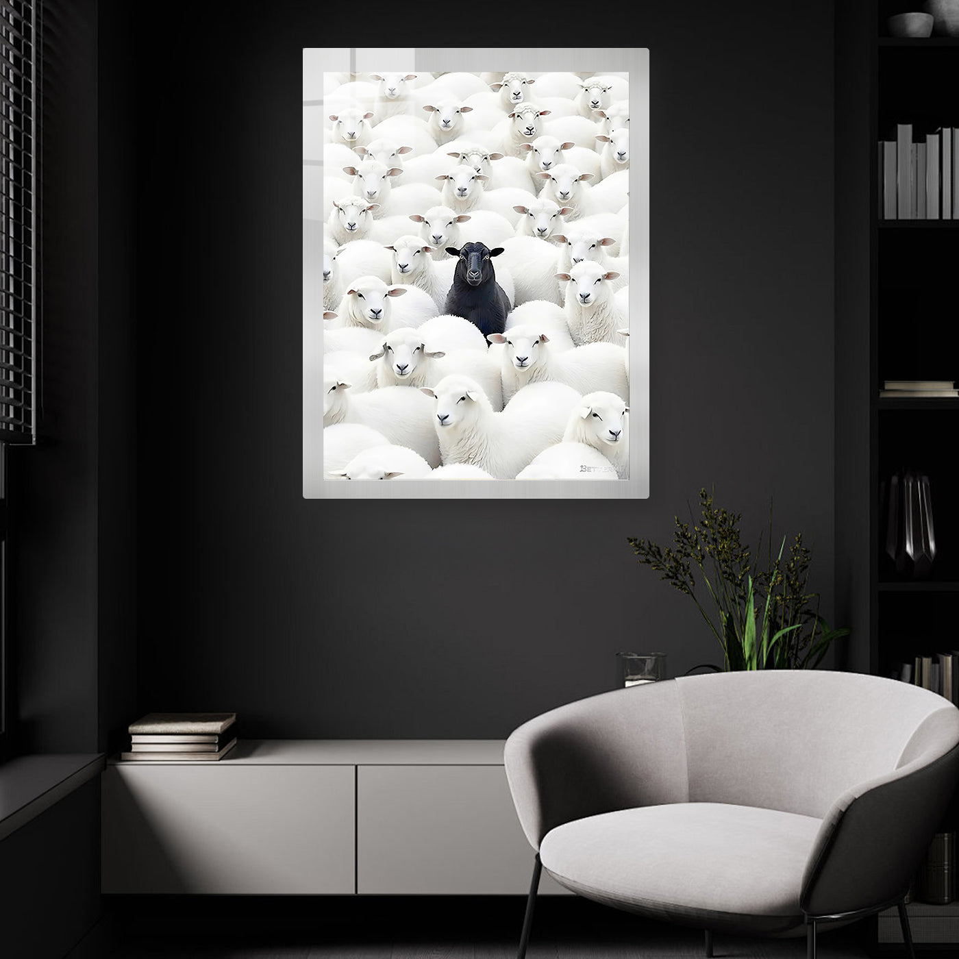 Black Sheep
