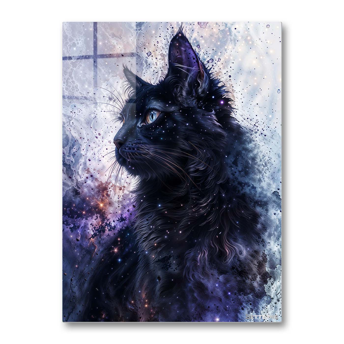 Cosmic Space Black Cat
