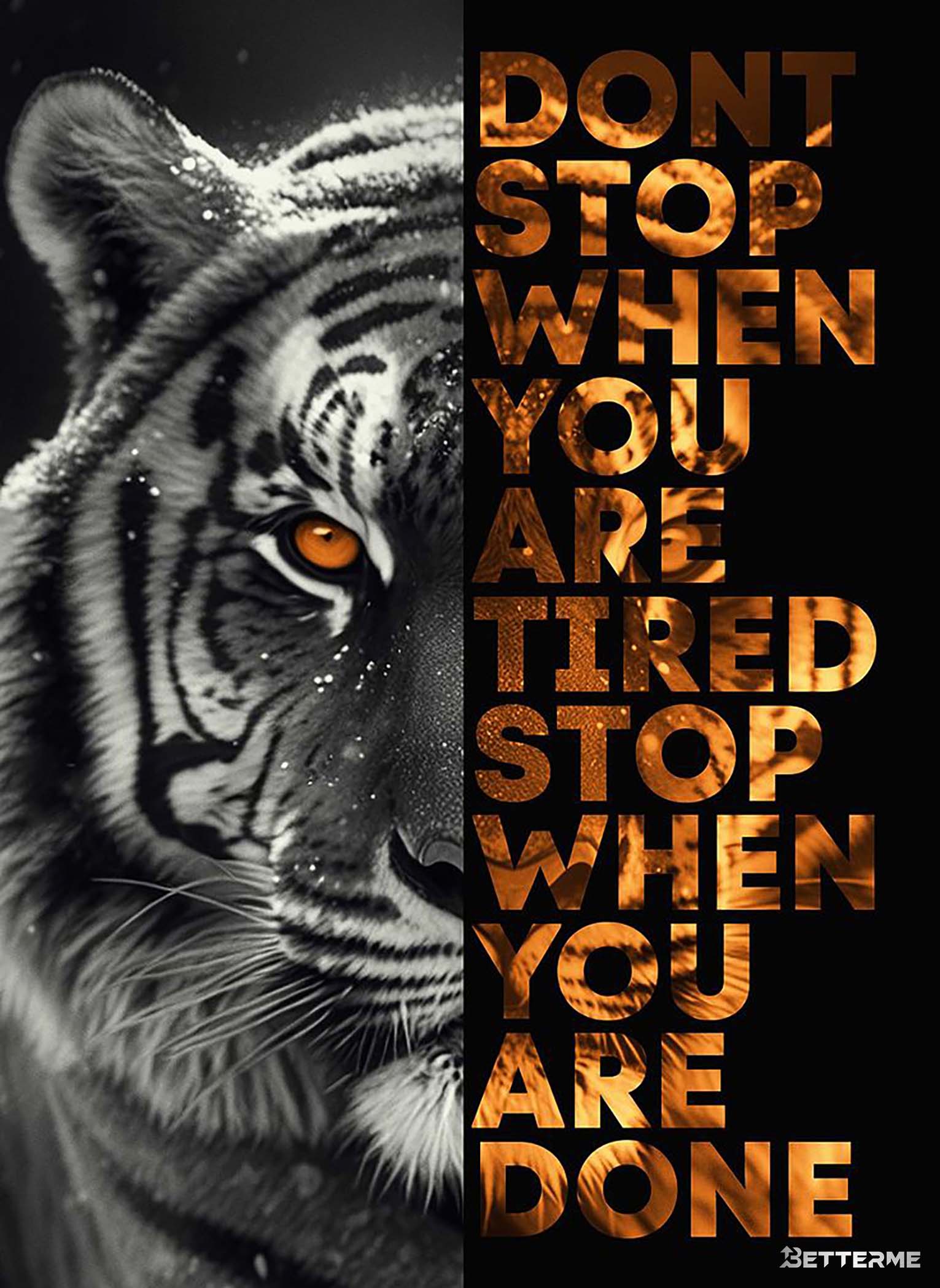 L008-Tiger