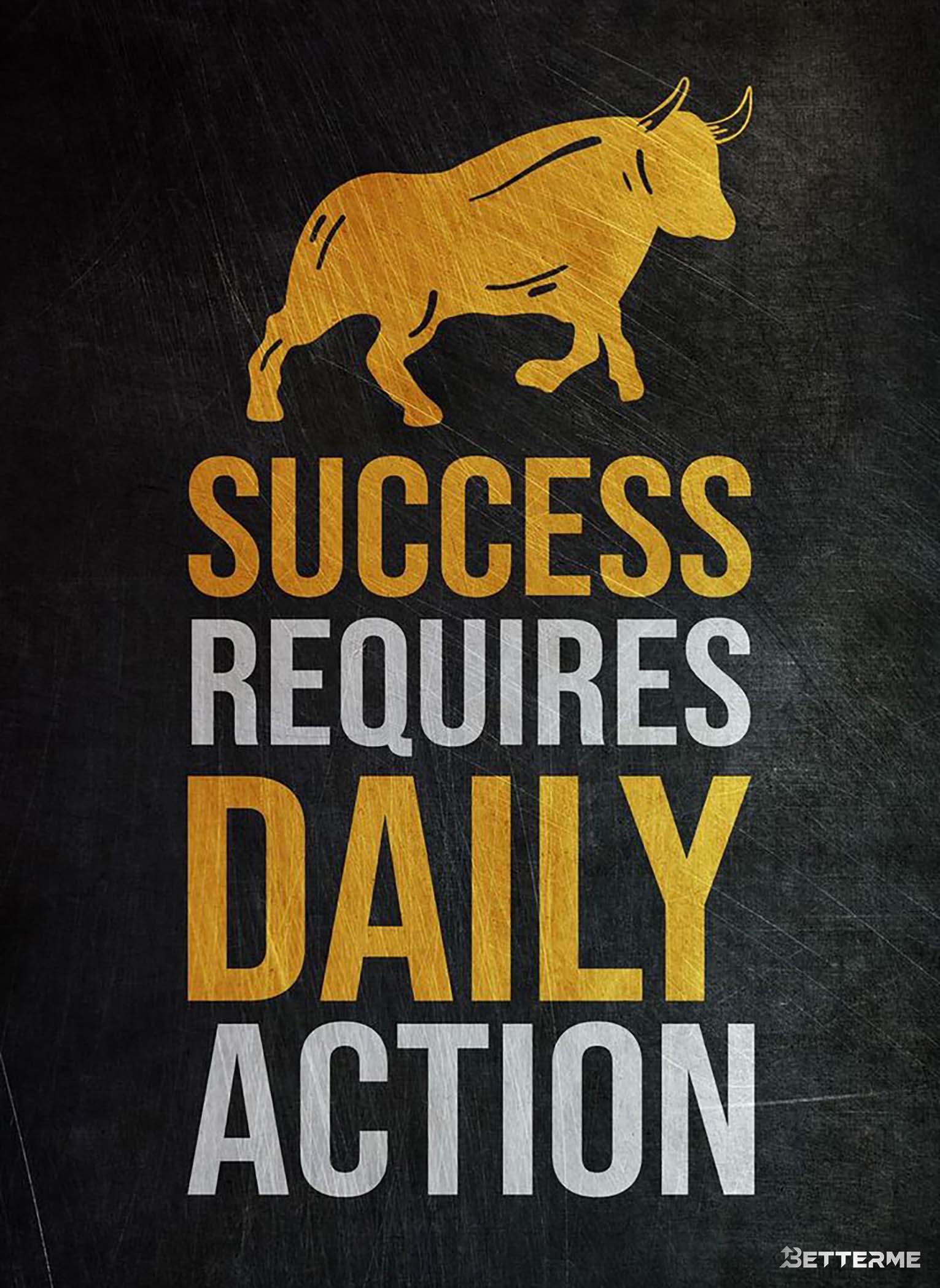 L016-SUCCESS REQUIRES DAILY ACTION