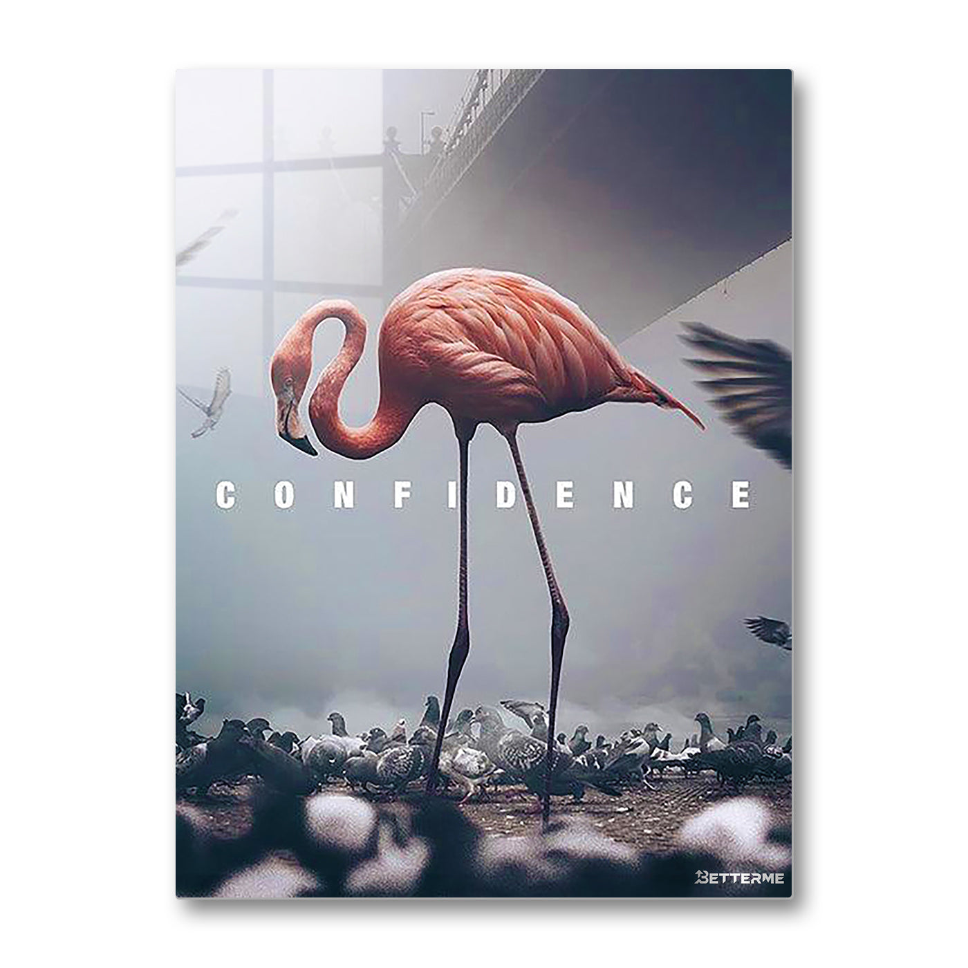 #SELECT PRODUCT TYPE_HD-Gloss Metal_Raw Brushed Aluminum