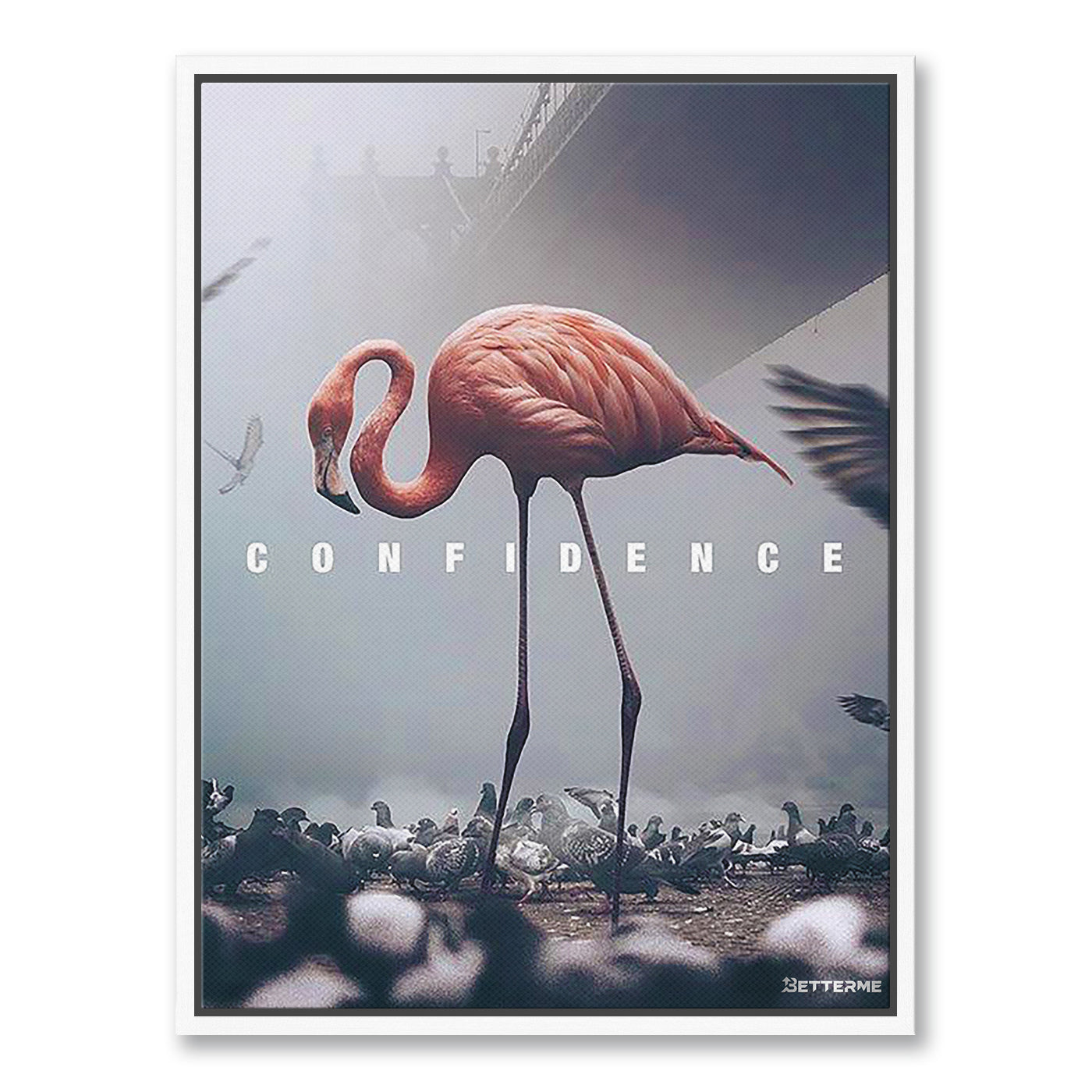 Pink Amongst Pigeons